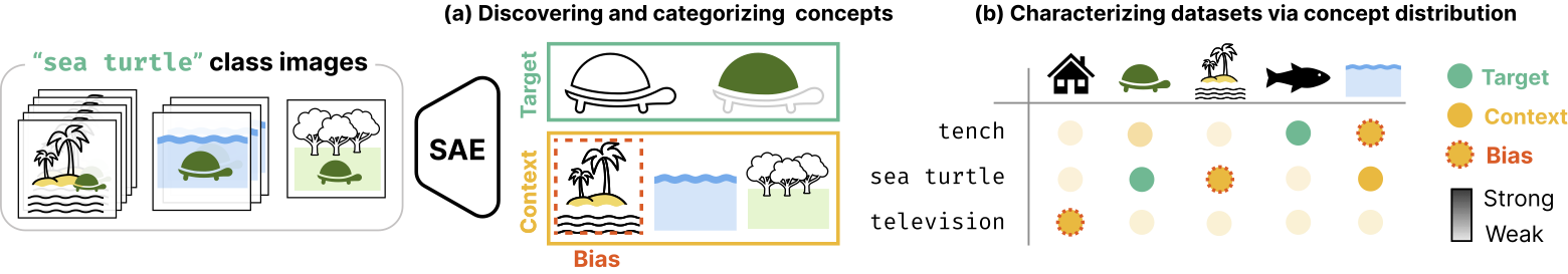 ConceptScope: Characterizing Dataset Bias via Disentangled Visual Concepts
